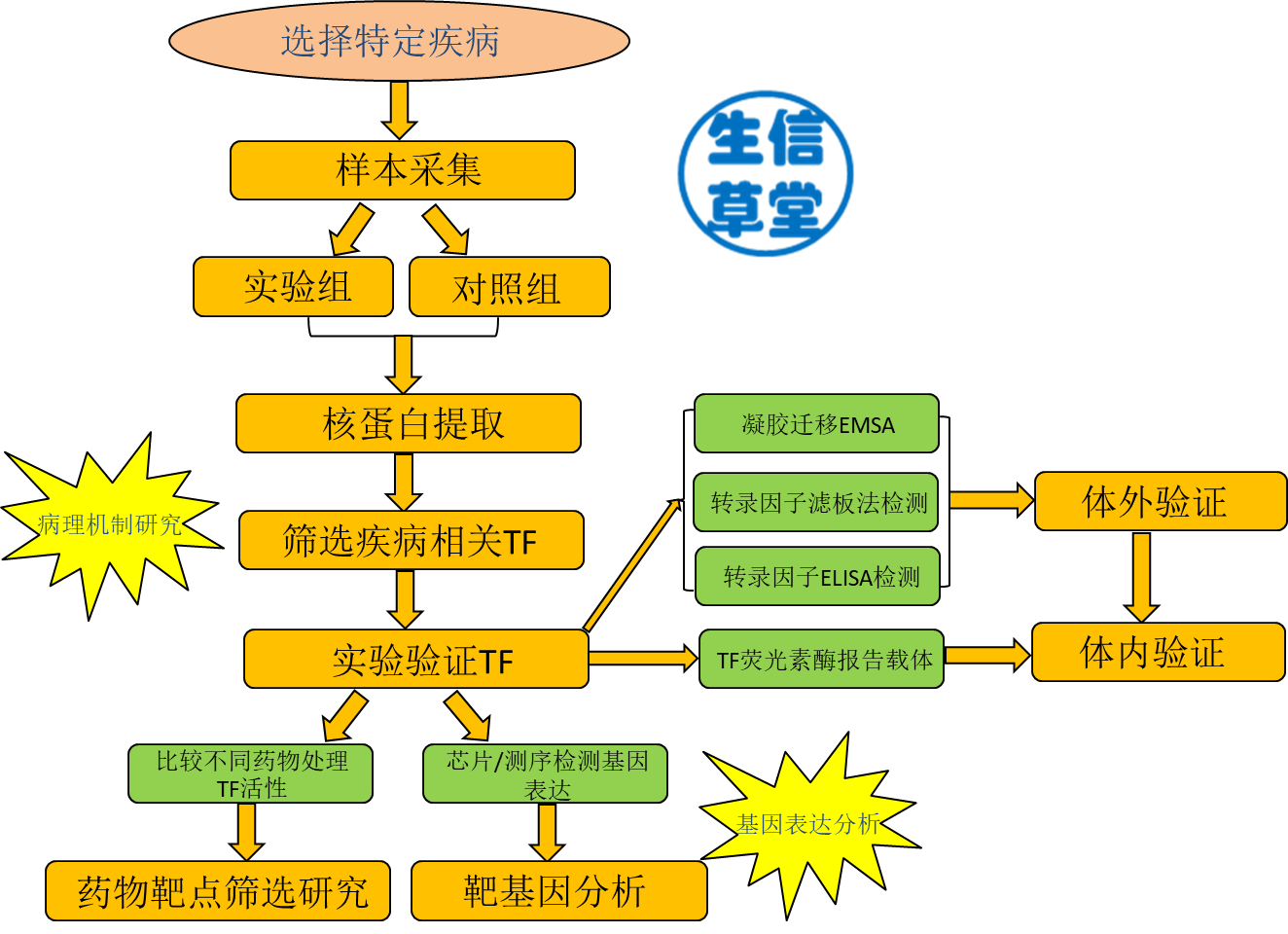 丁香园