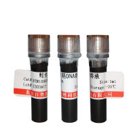 重组人E钙粘蛋白(上皮型钙黏附素)(E-Cadherin)(CDH1)价格