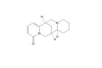黄华碱（486-90-8）