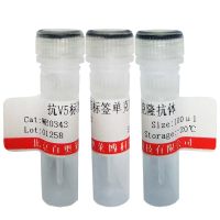 羊抗马IgG-FITC FITC标记抗体