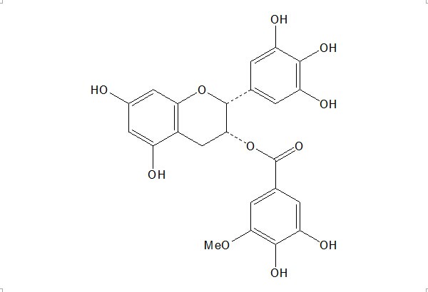 3"-O-甲基表没食子儿茶素没食子酸酯（83104-87-4）