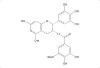 3"-O-甲基表没食子儿茶素没食子酸酯（83104-87-4）