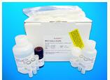 Hepatocyte Growth Factor Receptor ELISA Kit, Human