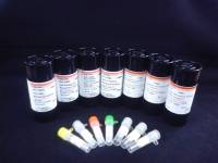 CMKLR1 rabbit polyclonal antibody特性