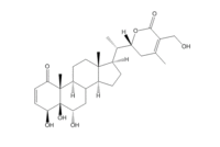 2,3-Didehydrosomnifericin（173614-88-5）