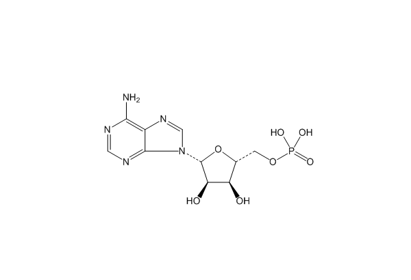 腺苷酸（61-19-8）