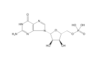 鸟苷酸(85-32-5)