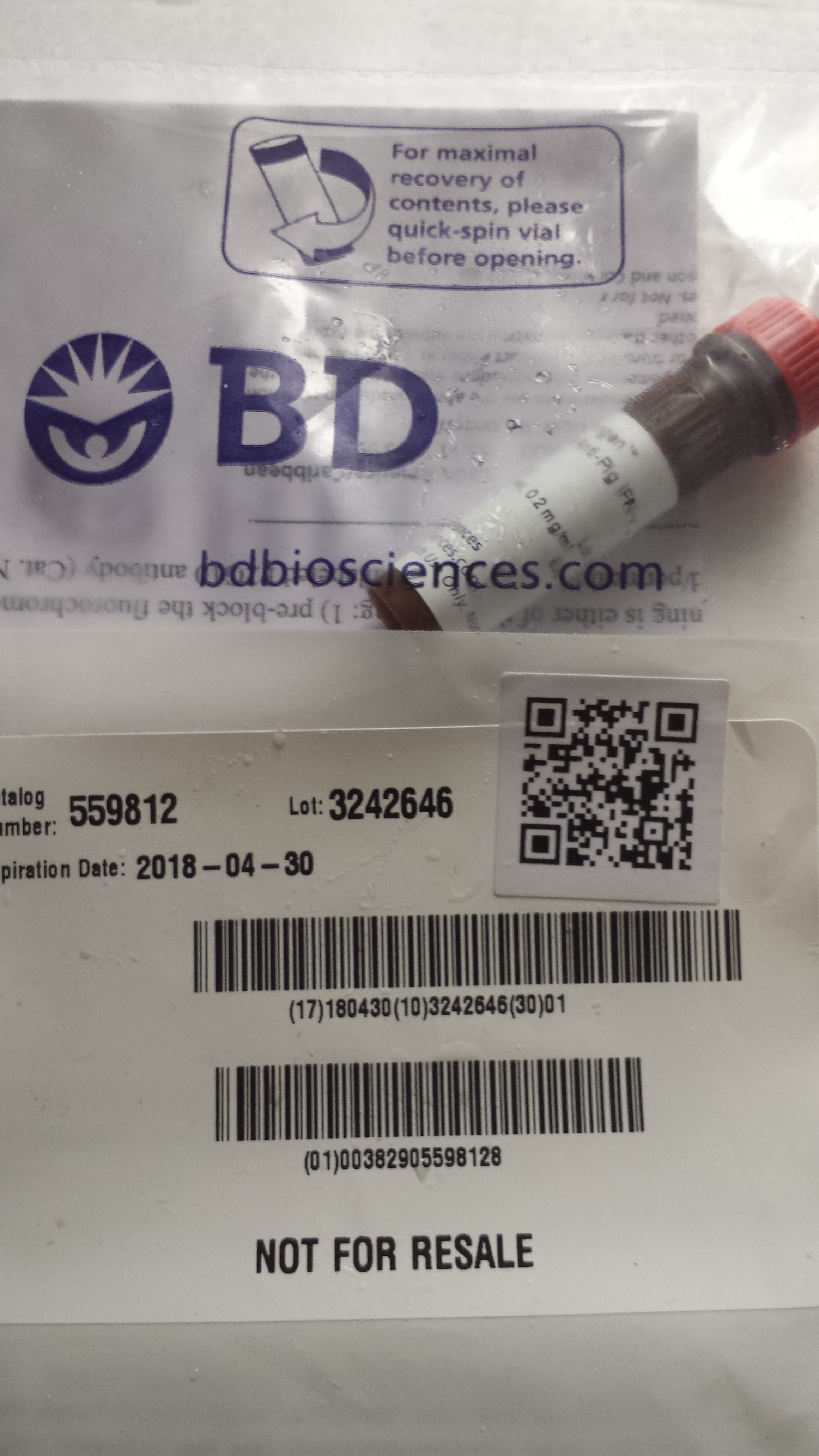 DUSP23 rabbit polyclonal antibody价格