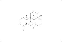 氧化苦参碱（16837-52-8）