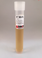 胎牛血清SCLENCEL