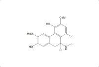 去甲异波尔定（23599-69-1）