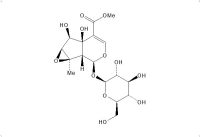 胡麻属苷(117479-87-5)