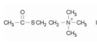 碘化乙酰硫代胆碱
