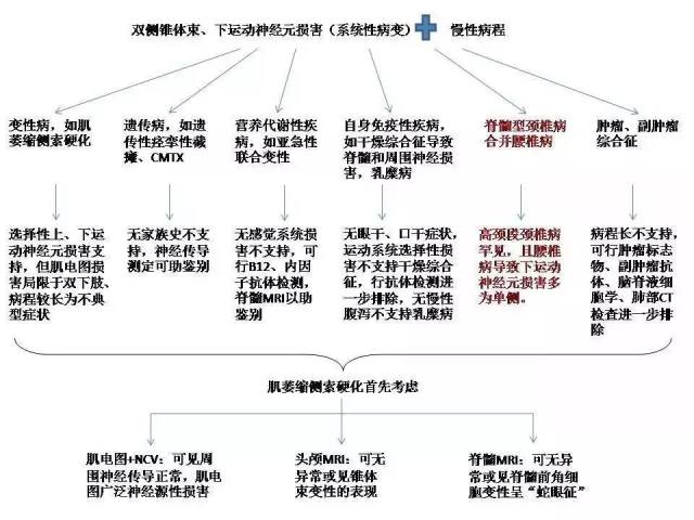 中年女性肌肉萎缩伴肉跳感 需要警惕什么