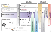 蛋白组转录组关联服务