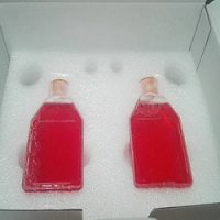 兔雪旺细胞/免疫荧光鉴定/镜像绮点(Cellverse)