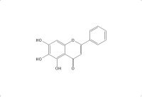 黄芩素（491-67-8）