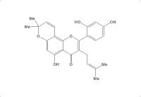 桑根皮素（62596-29-6）