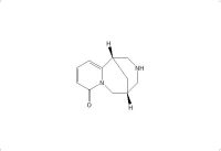金雀花碱(485-35-8)