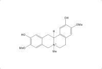 黄柏碱（6873-13-8）
