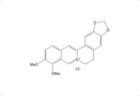 盐酸小檗碱（633-65-8）