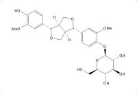 (+)-松脂醇-β-D-吡喃葡萄糖苷（69251-96-3）