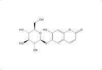 秦皮甲素(531-75-9)