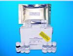 Thyroid transcription factor 1 ELISA Kit (TTF-1), Human