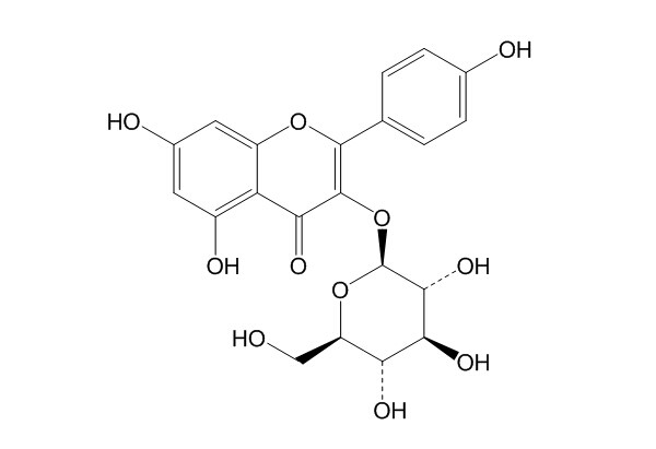 紫云英苷（480-10-4）