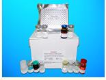 Advanced Glycation End Product (AGE) Competitive ELISA Kit, General