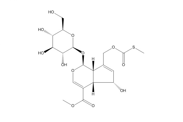 鸡屎藤苷酸甲酯（122413-01-8）