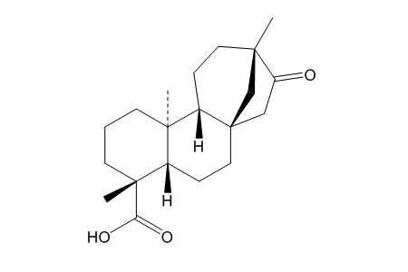 异甜菊醇（27975-19-5）