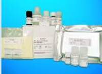 Methylglyoxal (MG) Competitive ELISA Kit, General