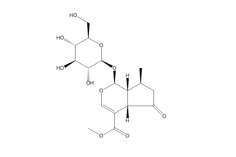 马鞭草苷（548-37-8）