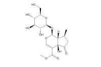 戟叶马鞭草苷（50816-24-5）