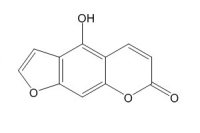佛手酚（486-60-2）