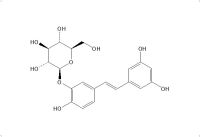 白皮杉醇-3'-O-葡萄糖苷（94356-26-0）