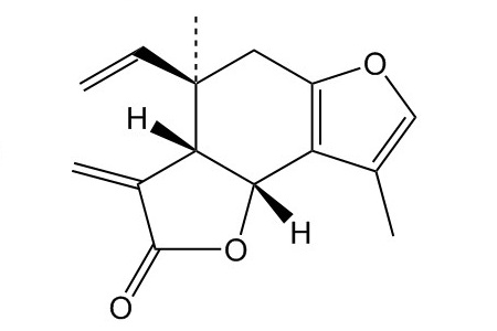 异乌药内酯（957-66-4）