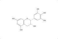 表没食子儿茶素（970-74-1）