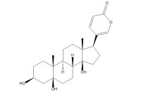 远华蟾蜍精（472-26-4）