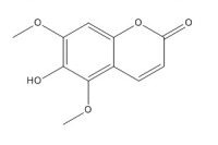 白蜡树精(486-28-2)