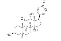 伪异沙蟾毒精（17008-69-4）