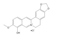 小檗红碱(15401-69-1)