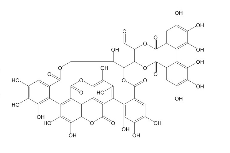 安石榴苷（65995-63-3）