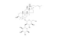 20(R)-人参皂苷Rg2（80952-72-3）