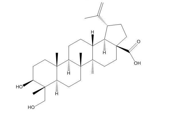 23-羟基白桦酸（85999-40-2）