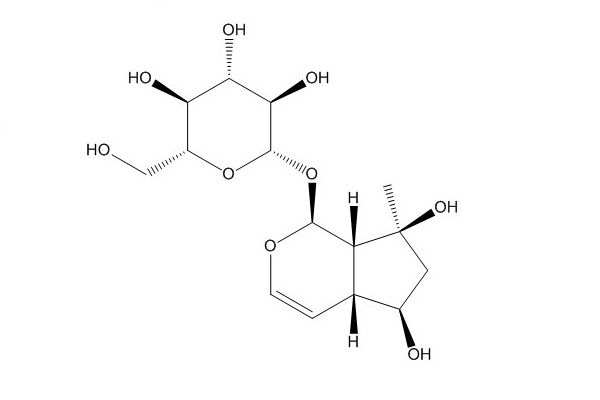 益母草苷（52949-83-4）