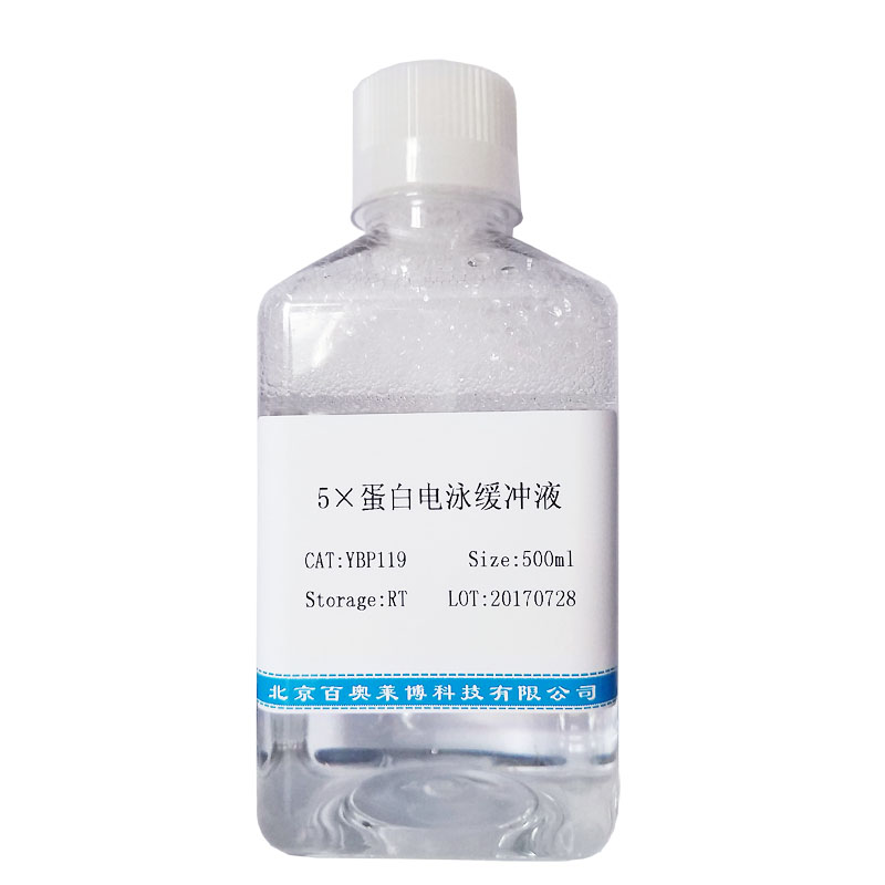YT391型dNTP混合溶液(25mM)价格