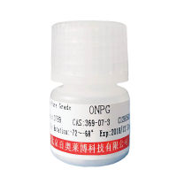 N端HA标签融合蛋白质粒 克隆与表达