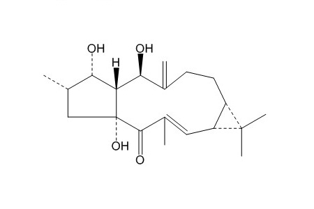千金子二萜醇（34420-19-4）